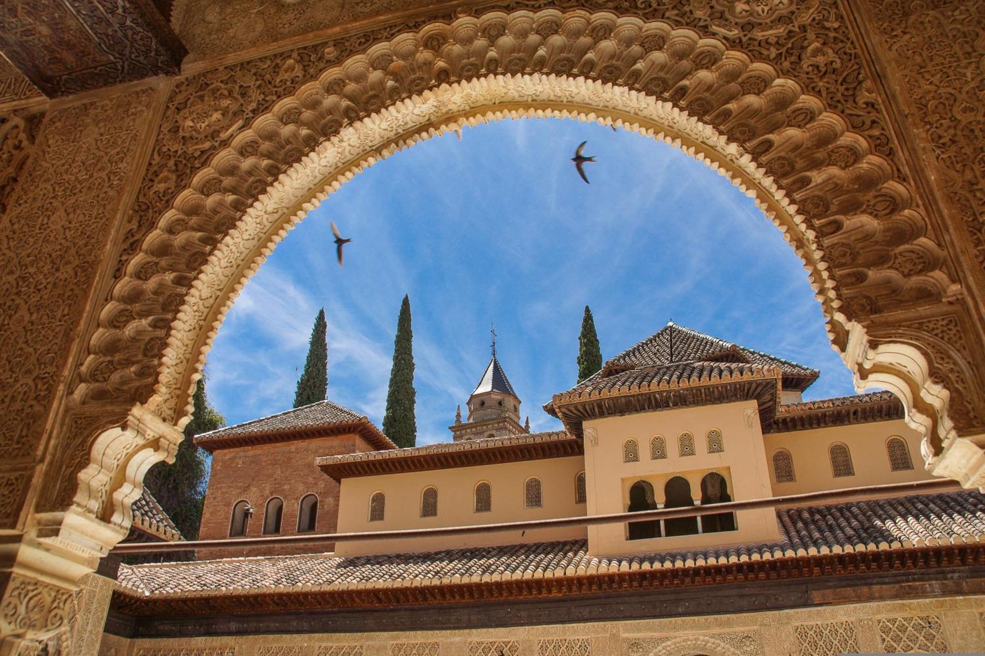 Dali'S Sanctuary In Granada - Private Parking Free Leilighet Eksteriør bilde